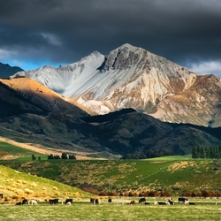 Пазл: Пейзаж Новой Зеландии