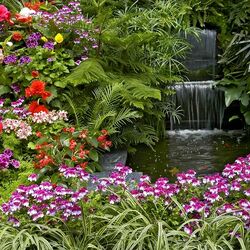 Пазл: Райский уголок