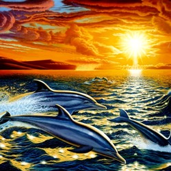 Пазл: Дельфины
