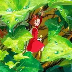 Пазл: Ариэтти