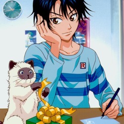 Пазл: Эчизен Рёма