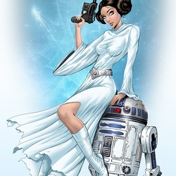 Пазл: Принцесса Лея