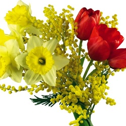 Пазл: Весна идет