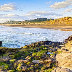 Пазл: Muriwai Beach. Новая Зеландия