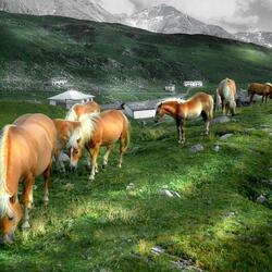 Пазл: Вдали от цивилизации