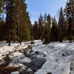 Пазл: Весна