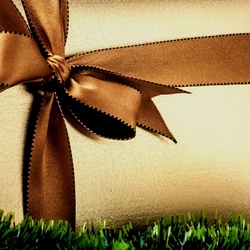 Пазл: Подарок