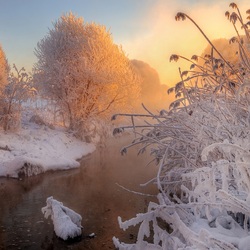 Пазл: Январское утро