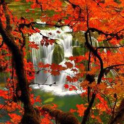 Пазл: Водопад     