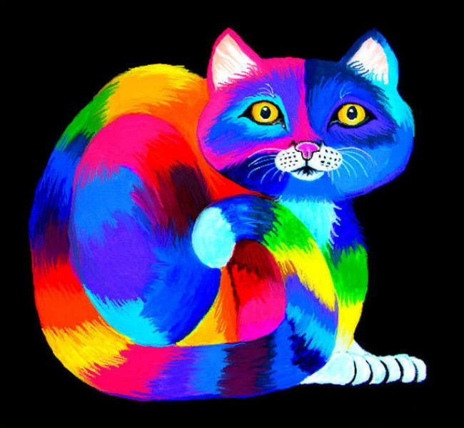 Цветная картинка котика. Разноцветная кошка. Радужная кошка. Радужные котята. Красочные разноцветные кошки.