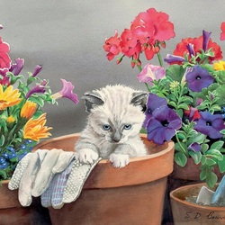 Пазл: Кот в саду