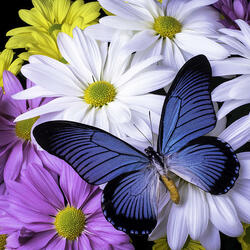 Пазл: Голубая бабочка