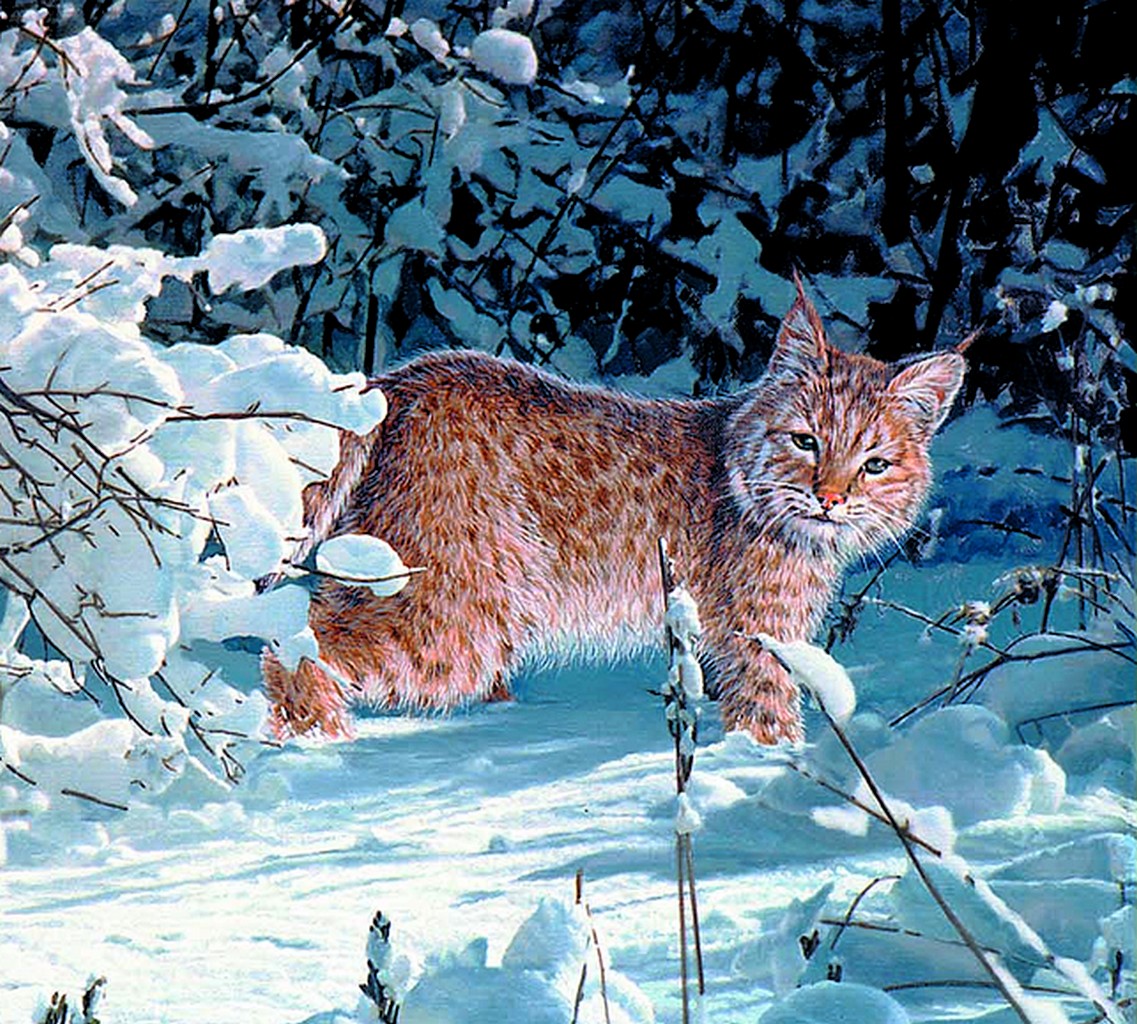 Картины Животных Фото