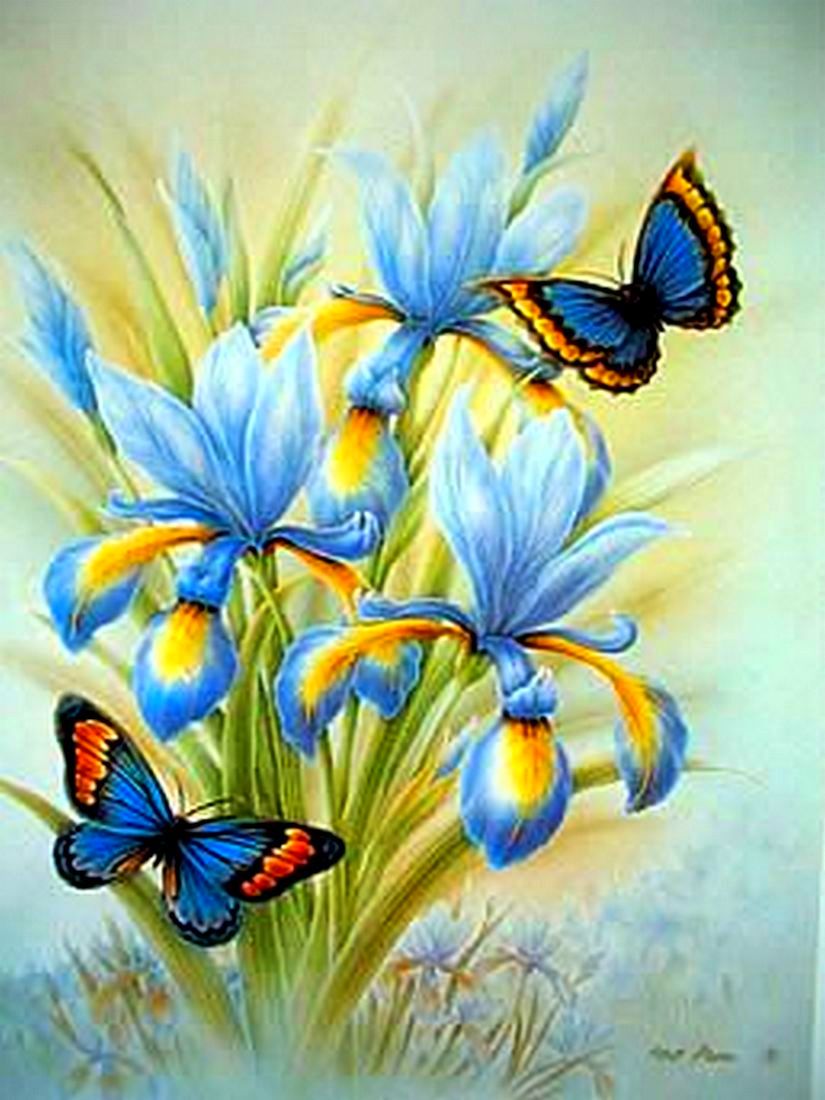 Цветы и бабочки живопись