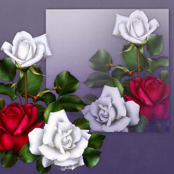 Пазл: Война роз