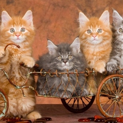 Пазл: Поехали