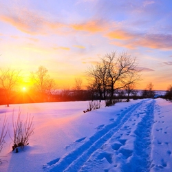 Пазл: Красивый зимний закат