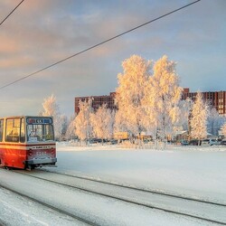 Пазл: Питерский трамвайчик