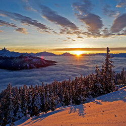 Пазл: Зимнее утро  