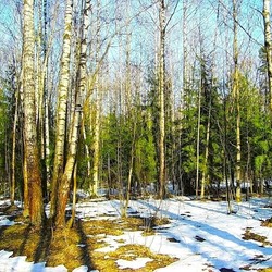 Пазл: Весна