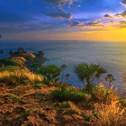 Пазл: Утро в тропиках   