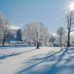 Пазл: Зимнее солнце