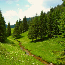 Пазл: В горах