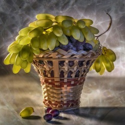 Пазл: Этюд с виноградом