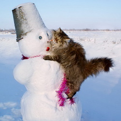 Пазл: Это любовь!