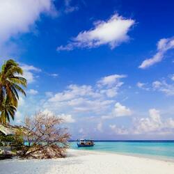 Пазл: На острове