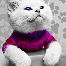 Пазл: Котёнок