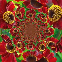 Пазл: Цветочный орнамент