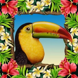 Пазл: Тукан