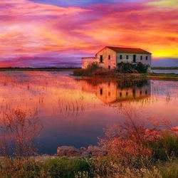 Пазл: На озере 