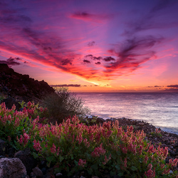 Пазл: Морской закат    