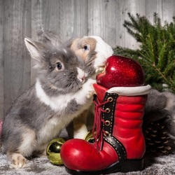 Пазл: Новогодний башмак