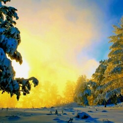 Пазл: Солнце встает