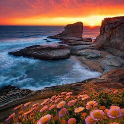 Пазл: Морской закат    