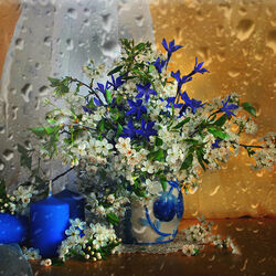 Пазл: Весенний дождь