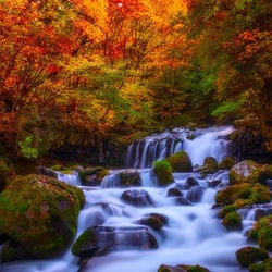 Пазл: Речка 