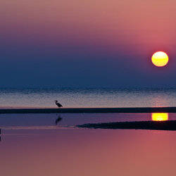 Пазл: Морской закат    