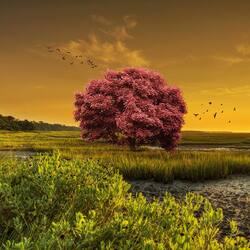 Пазл: На закате    