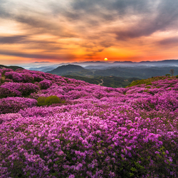 Пазл: Закат в горах   