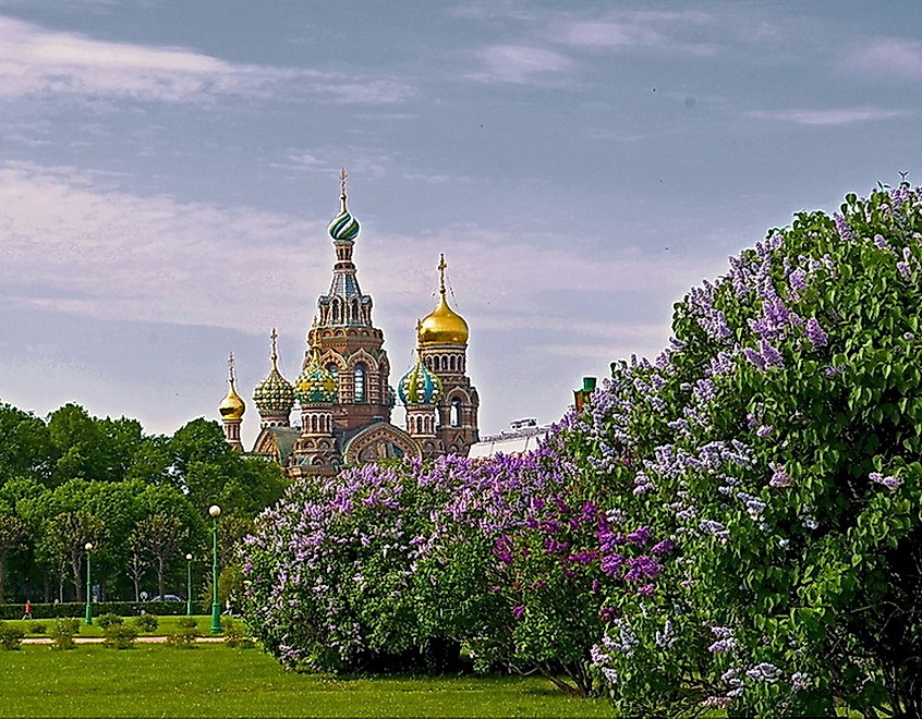 Май санкт петербург фото