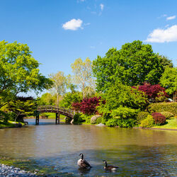 Пазл: Мостик в парке