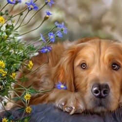 Пазл: Золотистый ретривер