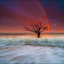 Пазл: Морской закат  