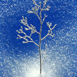 Пазл: Зима художница