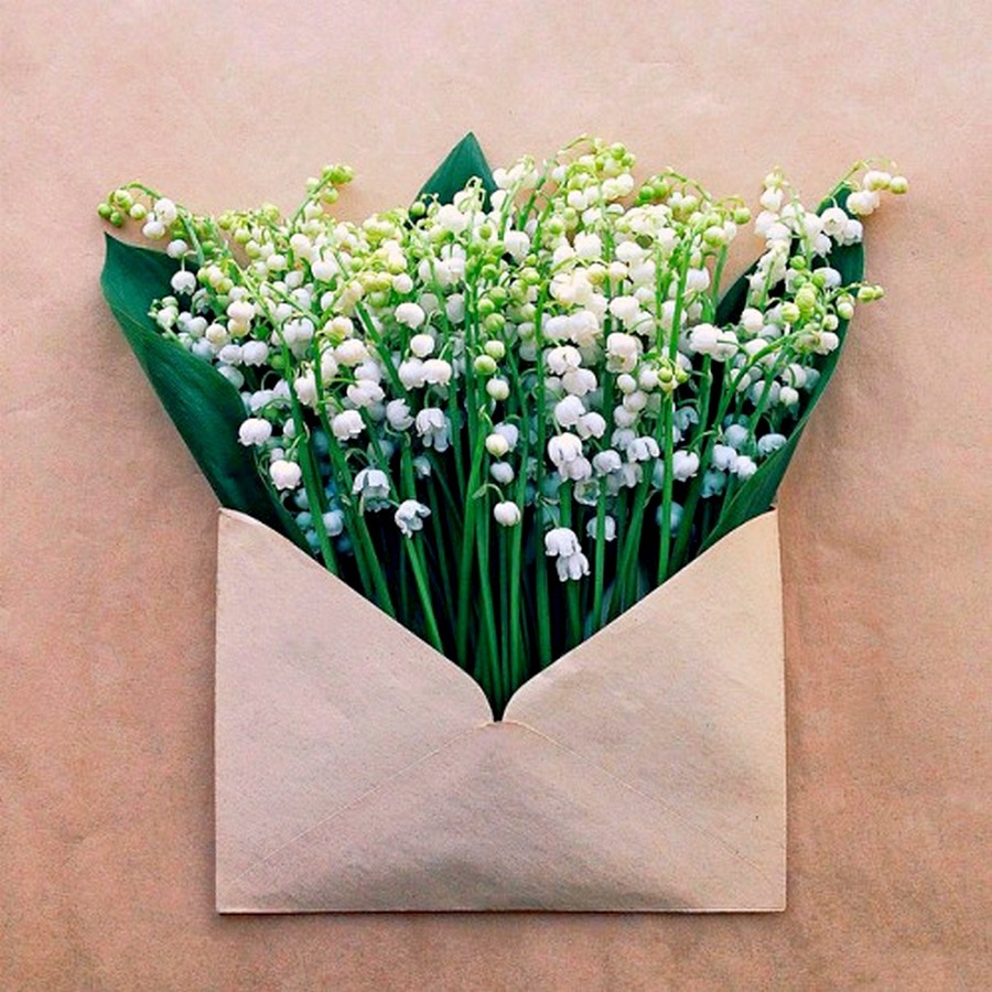 Весенние цветы в конверте