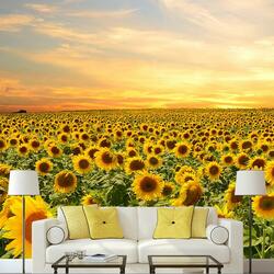 Пазл: Фото дизайн 